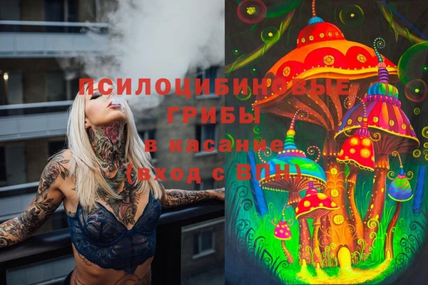 кокс Новодвинск