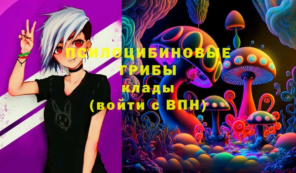 СК Новокубанск
